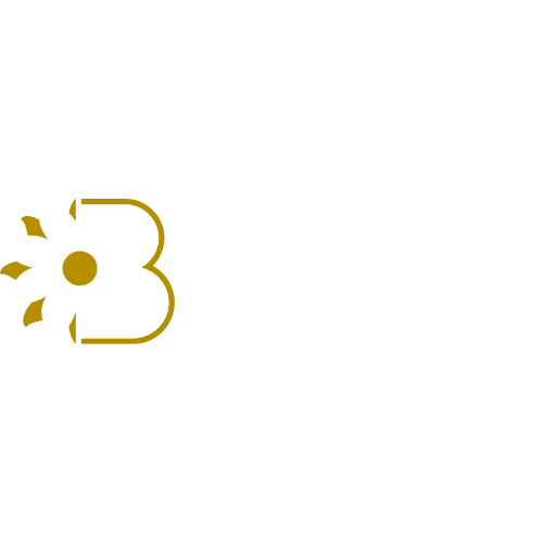 Company Name