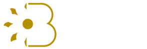 Blume Windows